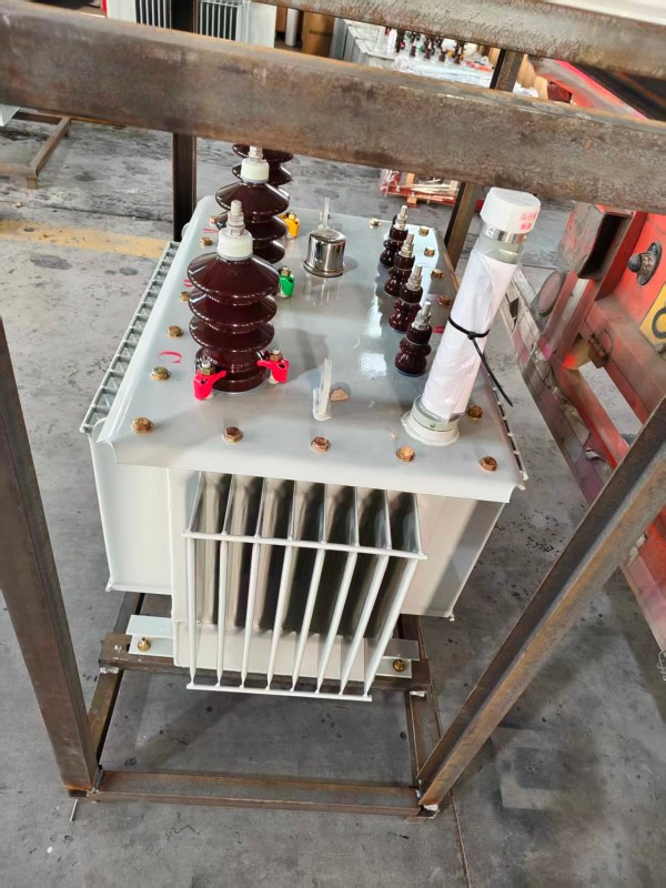 S13‑1000kVA 牡丹牡丹牡丹油浸式变压器 大型厂区 S13 牡丹牡丹牡丹油浸式变压器